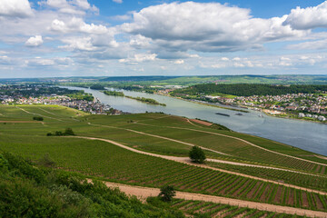 Fototapeta na wymiar Panoramic view of Ruedesheim am Rhein in Germany.
