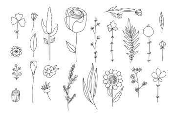Set of hand drawn doodle flowers and plants.