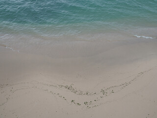 delicate drawing on the coastline