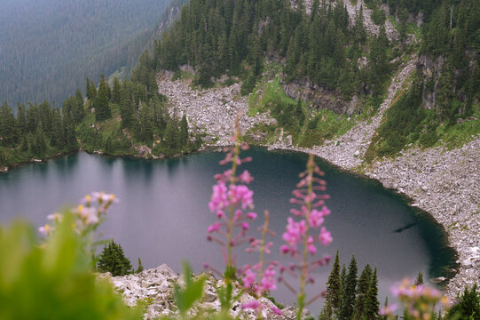 Alpine lake surrounded by trees and granite rock along the pct