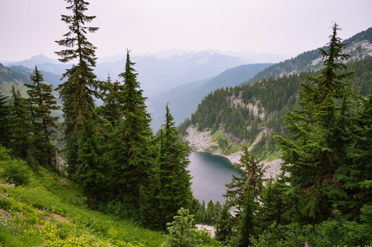 Alpine lake surrounded by trees and granite rock along the pct