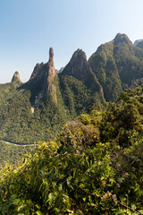 Beautiful green rainforest landscape with sharp rocky mountains