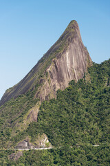 Beautiful green rainforest landscape with sharp rocky mountains
