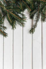 Spruce branches laying on white wooden table.
