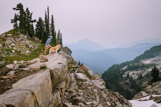 Male hiker and fluffy dog standing on cliff in the alpine
