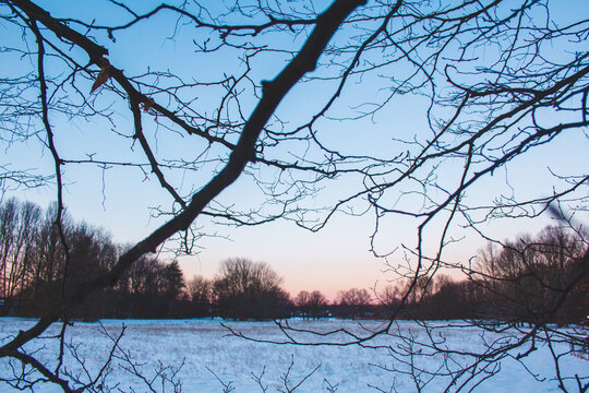 Snow covered landscape in city park in Braunschweig. Beautiful winter landscape at sunset.