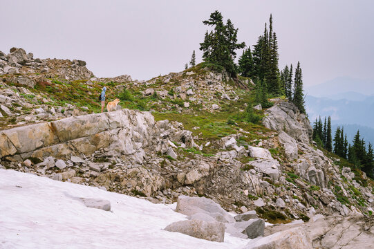 Male Hiker and dog standing on an alpine ridgeline