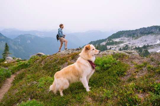 Fluffy dog and male hiker standing proud in the north cascades alpine