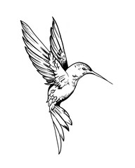 Hummingbirds are birds native to the Americas and constituting the biological family Trochilidae. Hummingbird art