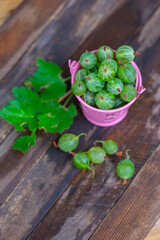 in a small bucket gooseberries on a dark background. High quality photo