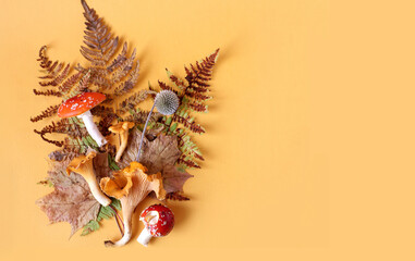 The concept of autumn walks in the forest. Banner : yellow fern and maple leaves, forest mushrooms-chanterelles and fly agarics-on a yellow background, top view, space for text