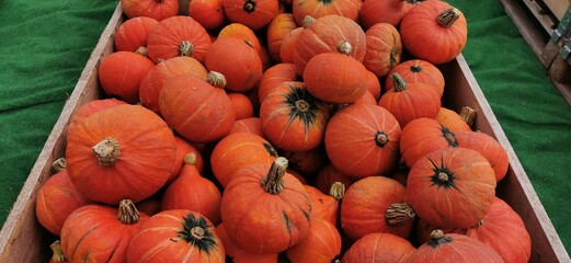 Many orange squash are waiting for sale in the vegetable market