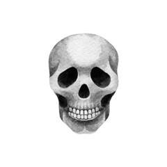 Watercolor skull on white background isolated. Black and white hand drawn element. Nice illustration for your design.