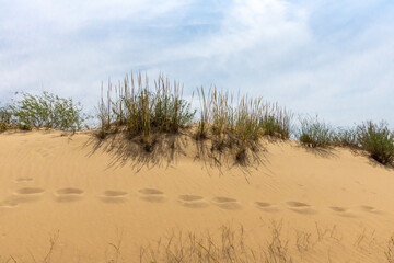 A chain of human footprints on the slope of a sand dune
