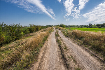 An uneven dirt road along a low dam among fields and meadows under a blue sky with white clouds. Manychskaya village, Rostov region, Russia