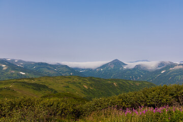 Green landscape of Kamchatka with volcanoes, wildflowers and forests, green mountains in the clouds.