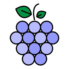 Fruit raspberry icon. Outline fruit raspberry vector icon color flat isolated