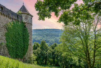 Blick zum Odenwald am  Schloss Hirschhorn