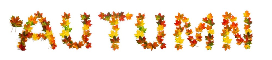 Autumn lettering text from of colorful autumnal maple leaves on white background. Top view, flat lay