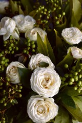 white roses in a garden