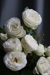 white roses in a garden