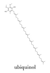 Ubiquinol molecule. Reduced form of coenzyme Q10. Skeletal formula.