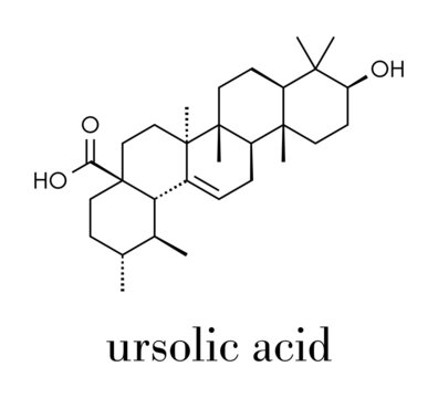 Ursolic acid molecule. Triterpenoid present in fruit peels. Skeletal formula.