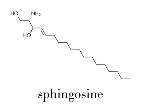 Sphingosine lipid molecule. Skeletal formula.