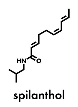 Spilanthol molecule. Local anesthetic present in Acmella oleracea (toothache plant). Skeletal formula.