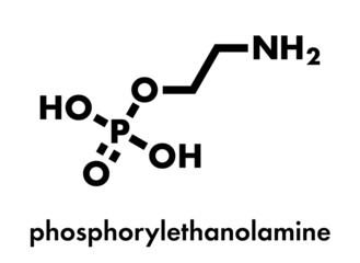 Phosphorylethanolamine (phosphoethanolamine) investigational cancer drug molecule. Skeletal formula.