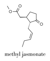 Methyl jasmonate plant stress signal molecule. Skeletal formula.