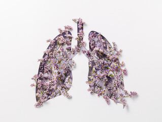 Artificial human lungs filled with lilac field flowers and lavenders isolated on a white...
