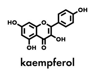 Kaempferol antioxidant molecule. Skeletal formula.