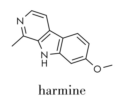 Harmine alkaloid molecule. Herbal inhibitor of monoamine oxidase A. (MAO-A). Skeletal formula.