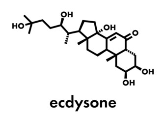 Ecdysone insect molting prohormone. Skeletal formula.
