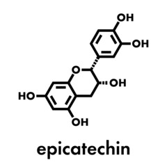Epicatechin (l-epicatechin) chocolate flavonoid molecule. Skeletal formula.
