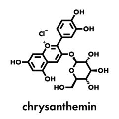 Chrysanthemin plant pigment molecule. Skeletal formula.