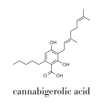 Cannabigerolic acid or CBGA cannabinoid molecule. Skeletal formula.