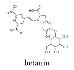 Betanin or beetrood red plant pigment molecule. Skeletal formula.