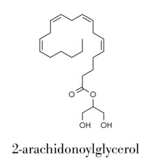 2-Arachidonoylglycerol (2-AG) endocannabinoid neurotransmitter molecule. Skeletal formula.