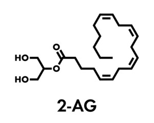 2-Arachidonoylglycerol (2-AG) endocannabinoid neurotransmitter molecule. Skeletal formula.