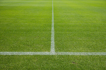 Obraz premium White line on the grass at soccer playing field