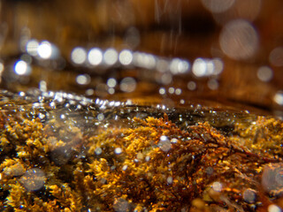 Micromondo marino a Giardini Naxos 569