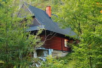 Dom górski w lesie. Mountain cottage in the woods. © jarizPJ
