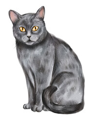 Watercolor illustration with cute cat isolated on white background