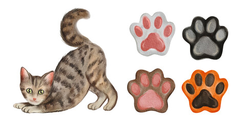 Watercolor illustration with cute cat isolated on white background