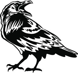 Black raven or crow. The vector silhouette of a bird on a white background. The symbol of Halloween and the cemetery. Predator and scavenger