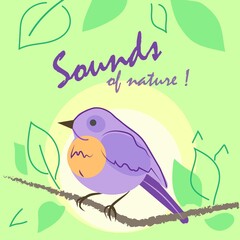 bird on a branch, sounds of nature, phrase on the background of forest landscapes, greeting card, songbird sings in the forest against the background of the sun, design for a postcard, for the web