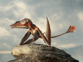 Eudimorphodon is one of the oldest know pterosaurs, a prehistoric fish eater, known for having differentiated teeth. It lived during the Triassic in what is now Italy. 3D Rendering.