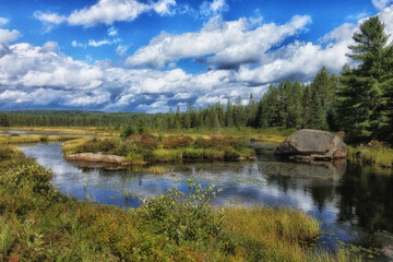 Fototapeta na wymiar Costello Creek Algonquin Provincial Park 